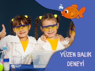 Yüzen Balık Deneyi - Süper Bilim ile Evde Deneyler
