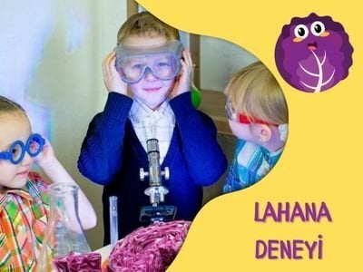 Mor Lahana Deneyi - Süper Bilim ile Evde Deneyler