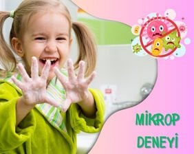 Mikrop Deneyi - Süper Bilim ile Evde Deneyler