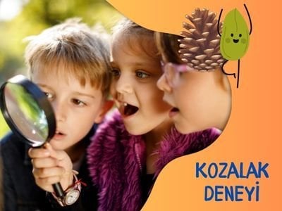 Kozalak Deneyi - Süper Bilim ile Evde Deneyler