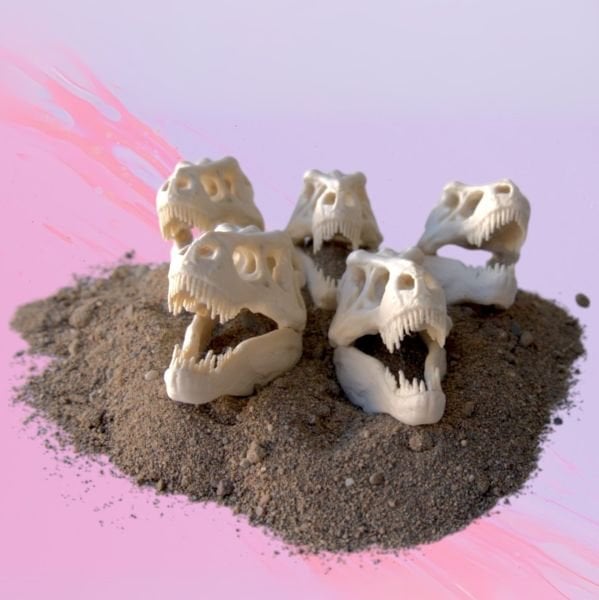 Mini T-Rex Dinozor Kafatası (İki Parça)