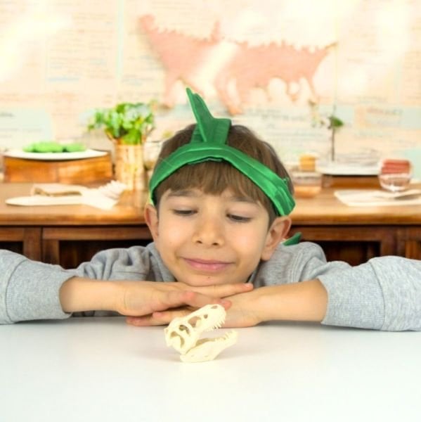 Mini T-Rex Dinozor Kafatası (İki Parça)