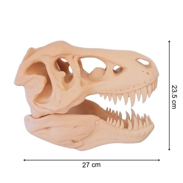 Dev T-Rex Kafatası (2 Parça)