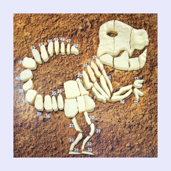 3 Boyutlu Dev Dinozor Puzzle (49 Parça)