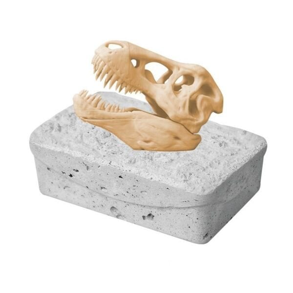 T-Rex Kazı Bloğu | Çocuklar İçin Dinozor Fosil Keşfi