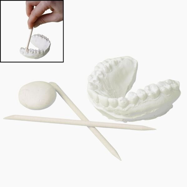 Diş Dolgusu Etkinliği Seti