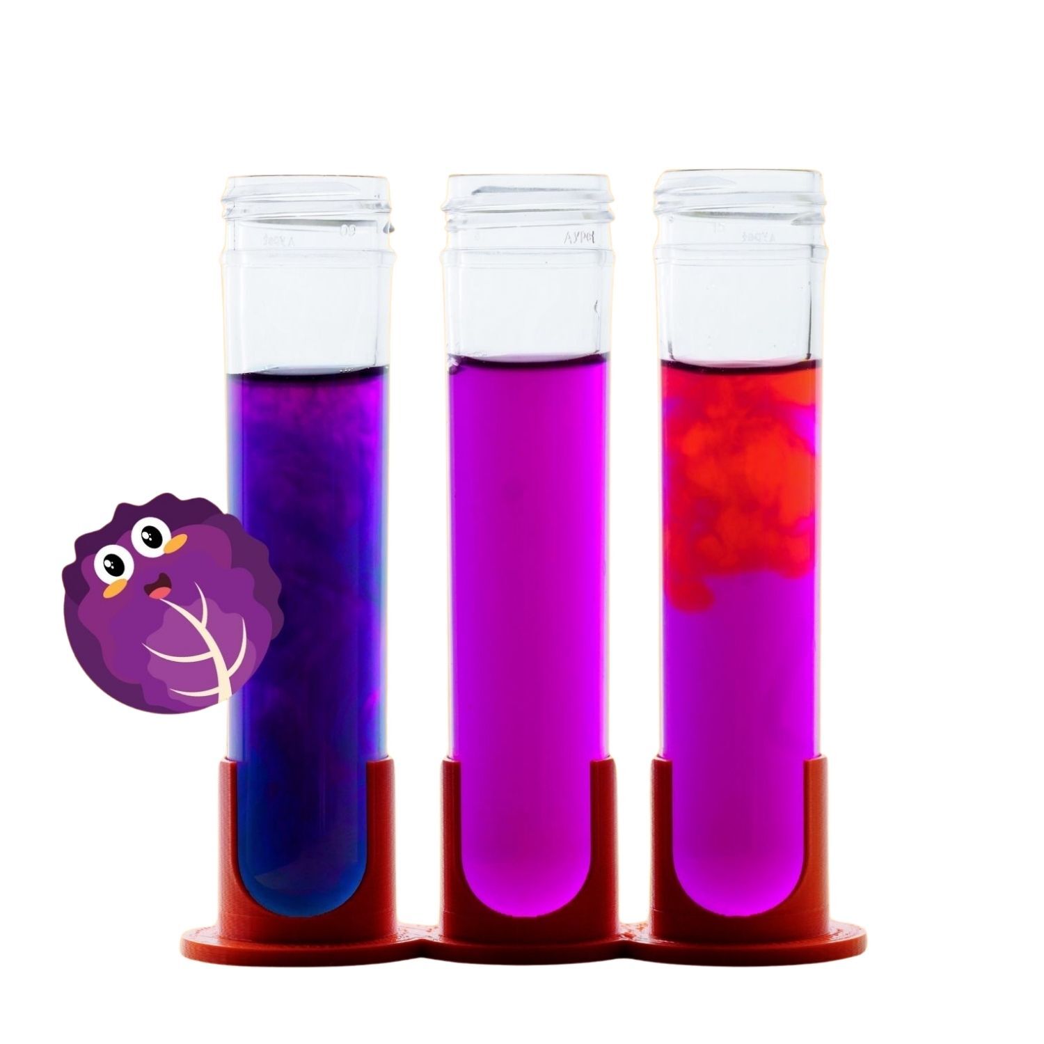 Rengarenk Lahana (Mor Lahana Deneyi) Mini Set