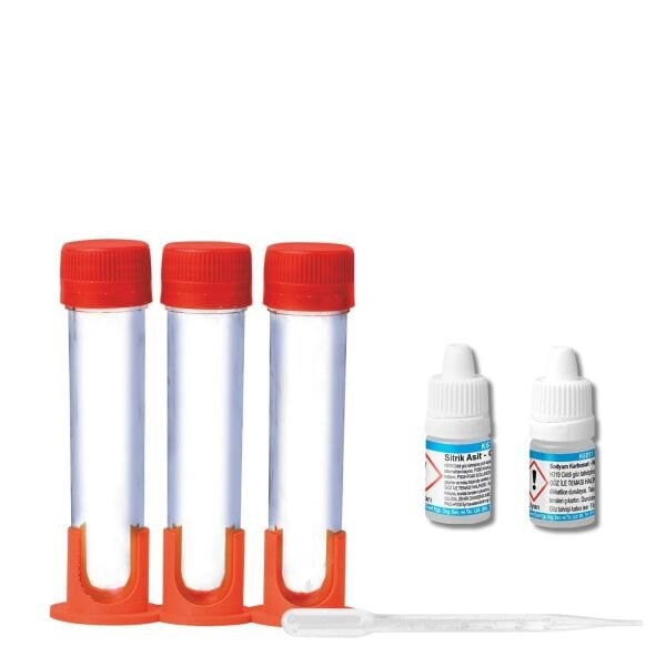 Rengarenk Lahana (Mor Lahana Deneyi) Mini Set