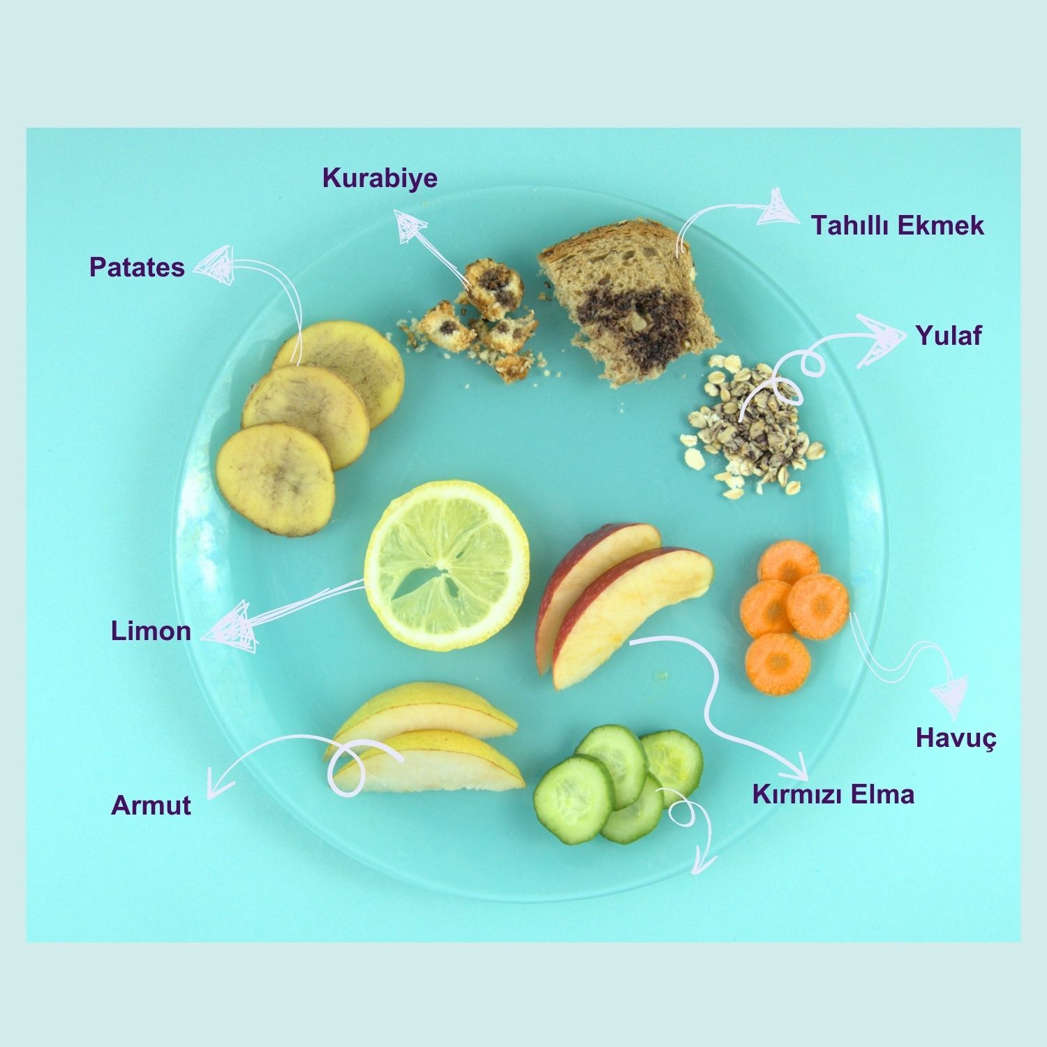 Nişasta Ayıracı (İyot) Lugol Çözeltisi Deneyi Mini Set